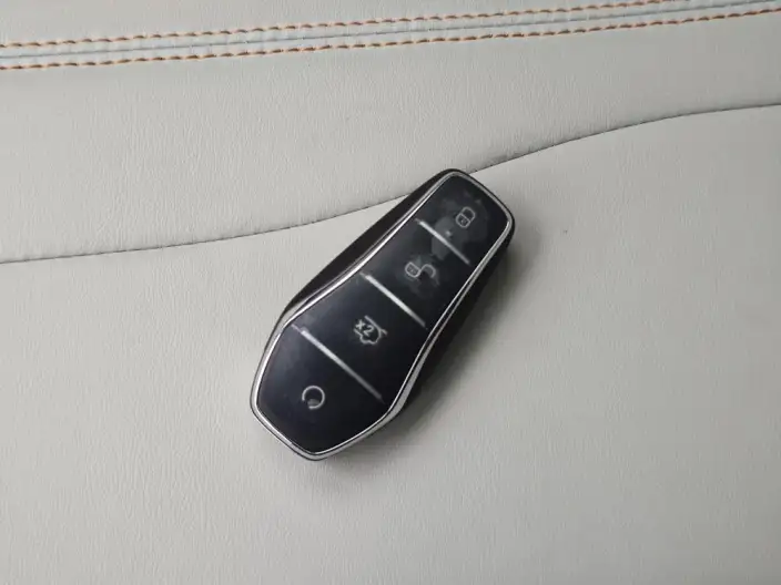 BYD Song PLUS EV 2023 Model Champion Edition 520KM Noble Model – фото 11
