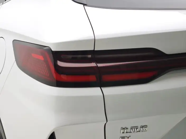 BYD Song PLUS EV 2023 Model Champion Edition 520KM Noble Model – фото 13