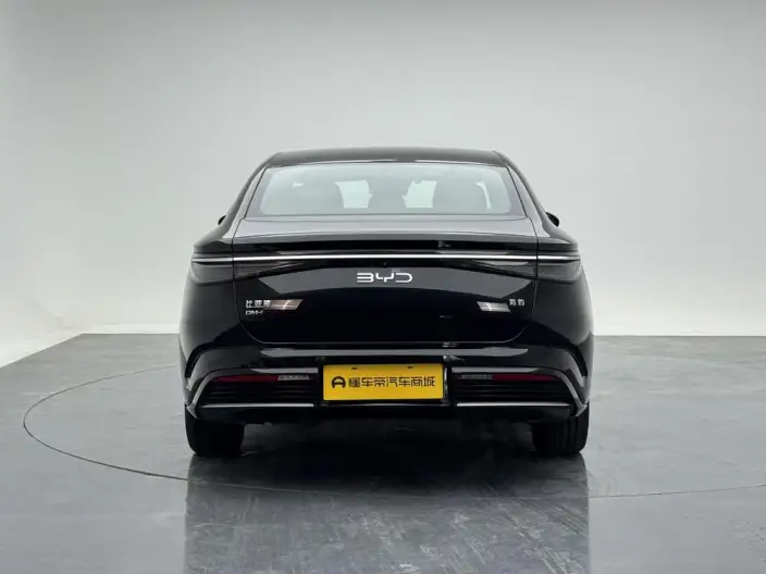 BYD Seal DM 2024 Model Honor Edition DM-i 1.5L 121KM Elite Model – фото 6