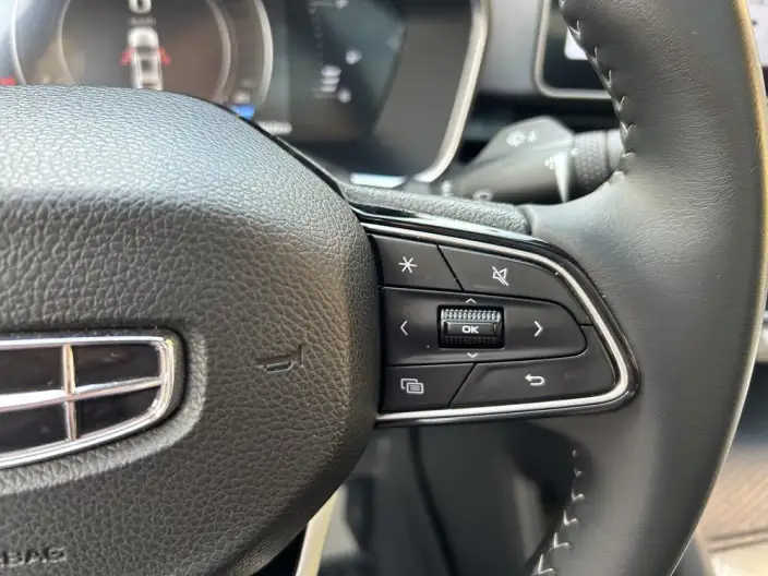 Geely StarRui 2023 Model 2.0T Luxury Model – фото 13