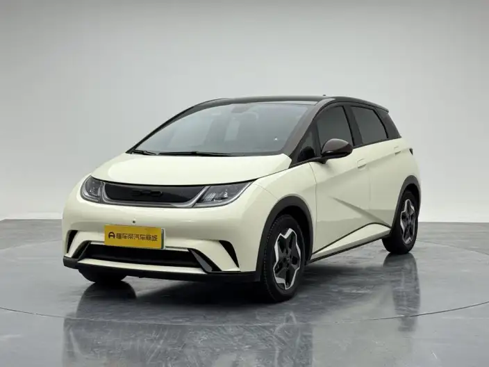 BYD Dolphin 2021 Model Fashion Edition – фото 1