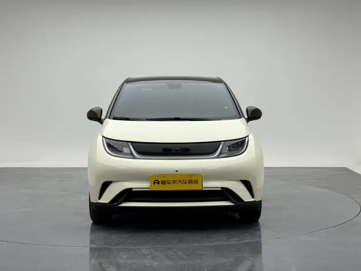 BYD Dolphin 2021 Model Fashion Edition – фото 2