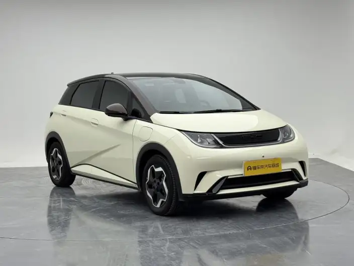 BYD Dolphin 2021 Model Fashion Edition – фото 3