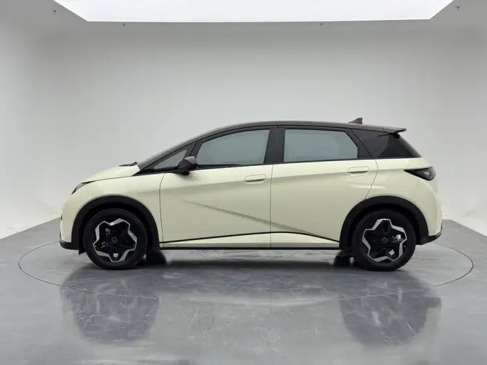 BYD Dolphin 2021 Model Fashion Edition – фото 4