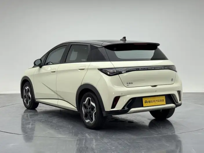 BYD Dolphin 2021 Model Fashion Edition – фото 5