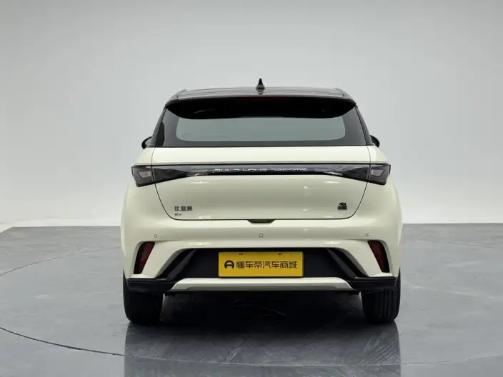 BYD Dolphin 2021 Model Fashion Edition – фото 6