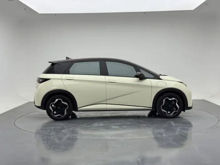BYD Dolphin 2021 Model Fashion Edition – фото 8