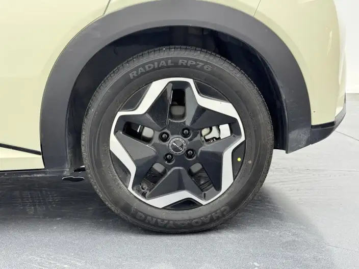 BYD Dolphin 2021 Model Fashion Edition – фото 9