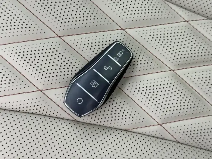 BYD Dolphin 2021 Model Fashion Edition – фото 11