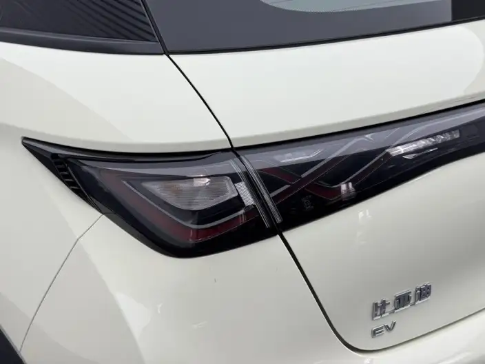 BYD Dolphin 2021 Model Fashion Edition – фото 13