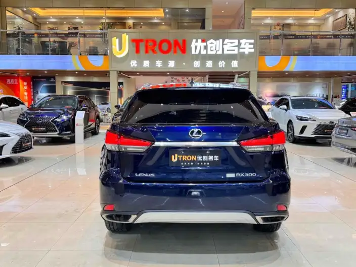 Lexus RX 2020 Model 300 4WD Elegant Edition China VI – фото 4