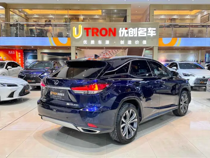 Lexus RX 2020 Model 300 4WD Elegant Edition China VI – фото 5
