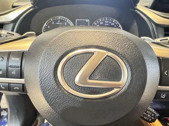 Lexus RX 2020 Model 300 4WD Elegant Edition China VI – фото 14