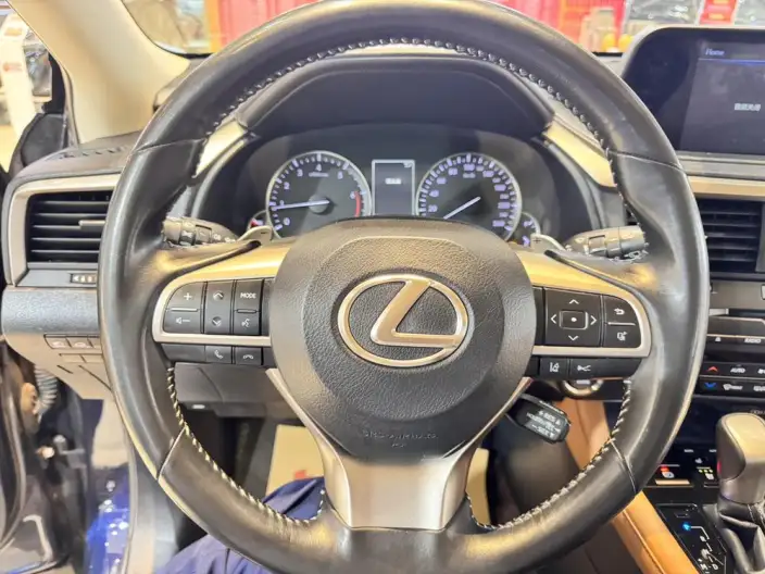 Lexus RX 2020 Model 300 4WD Elegant Edition China VI – фото 19