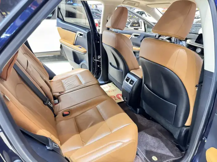 Lexus RX 2020 Model 300 4WD Elegant Edition China VI – фото 26