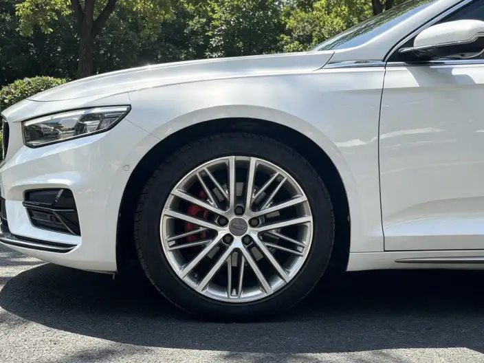 Geely StarRui 2023 Model 2.0T Noble Model – фото 7