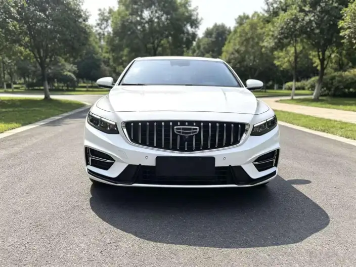 Geely StarRui 2023 Model 2.0T Luxury Model – фото 2