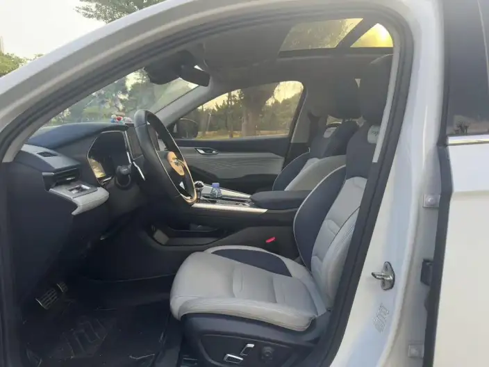 Geely StarRui 2023 Model 2.0T Noble Model – фото 11