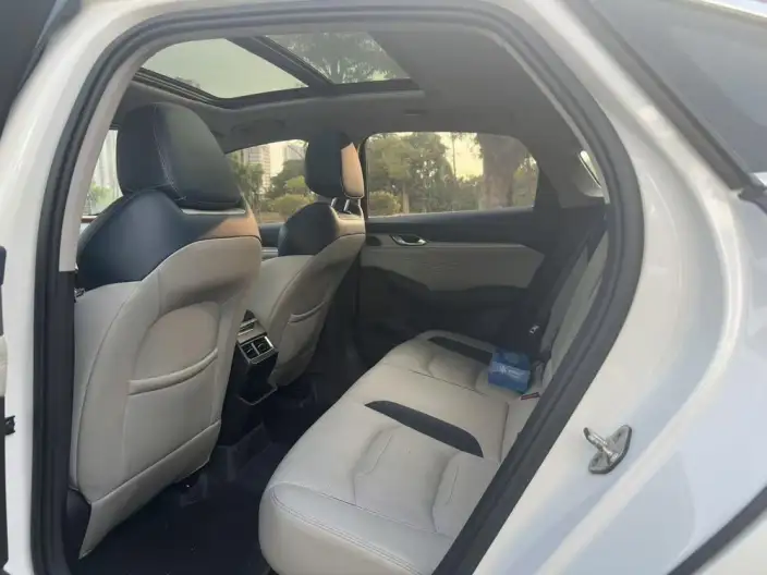 Geely StarRui 2023 Model 2.0T Noble Model – фото 12