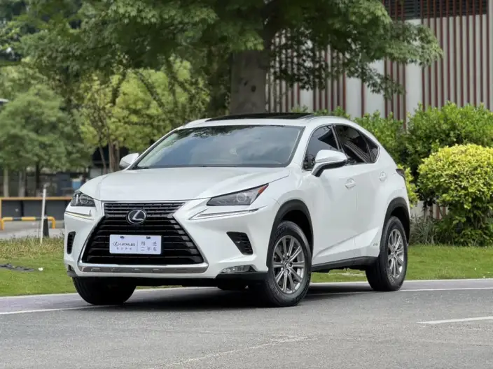 Lexus NX 2020 Model 300h Qian Drive Fengshang Edition China VI – фото 1