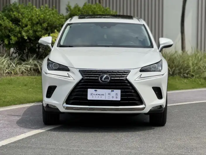 Lexus NX 2020 Model 300h Qian Drive Fengshang Edition China VI – фото 2