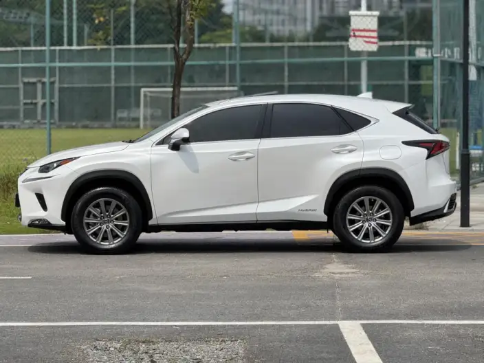Lexus NX 2020 Model 300h Qian Drive Fengshang Edition China VI – фото 3
