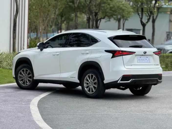 Lexus NX 2020 Model 300h Qian Drive Fengshang Edition China VI – фото 4