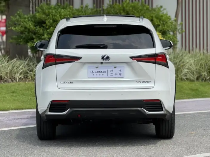 Lexus NX 2020 Model 300h Qian Drive Fengshang Edition China VI – фото 5