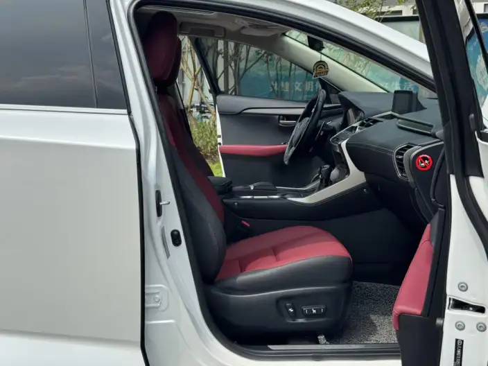 Lexus NX 2020 Model 300h Qian Drive Fengshang Edition China VI – фото 6