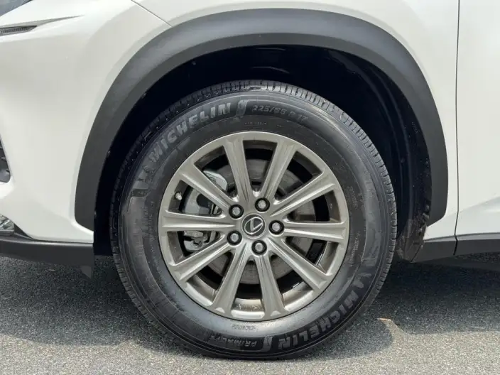 Lexus NX 2020 Model 300h Qian Drive Fengshang Edition China VI – фото 11