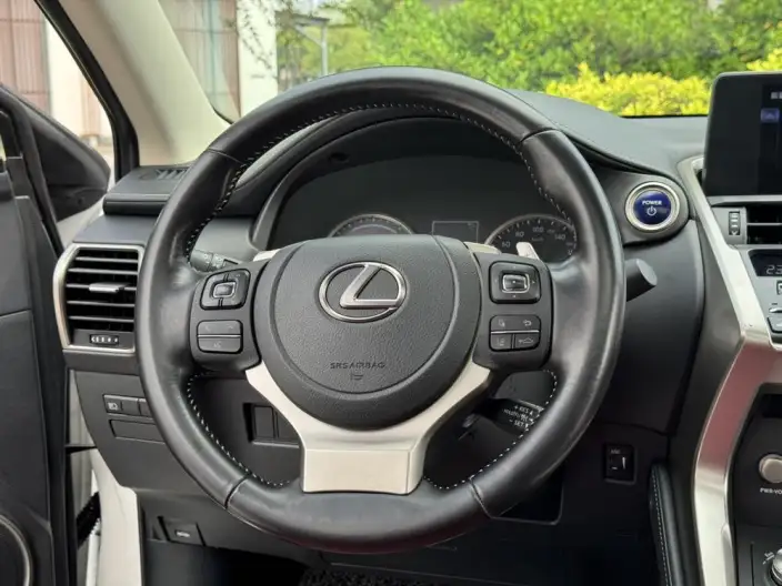 Lexus NX 2020 Model 300h Qian Drive Fengshang Edition China VI – фото 13