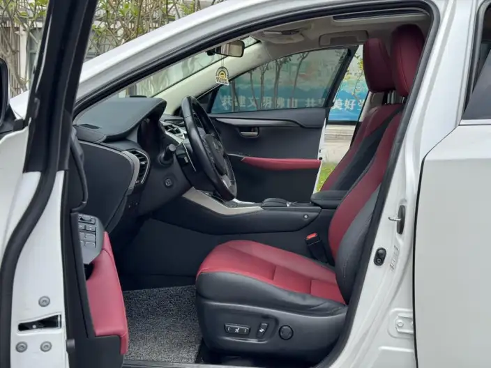 Lexus NX 2020 Model 300h Qian Drive Fengshang Edition China VI – фото 14