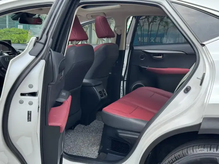 Lexus NX 2020 Model 300h Qian Drive Fengshang Edition China VI – фото 15