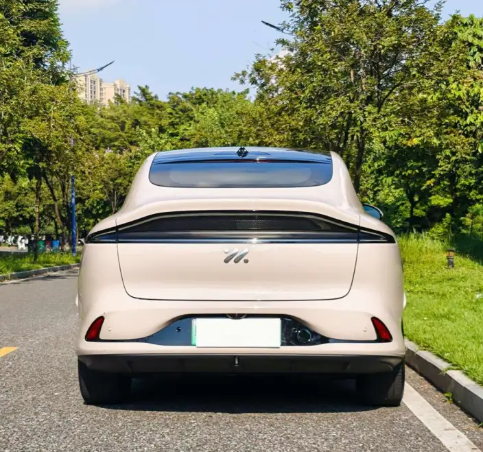 IM LS6 2023 Model Max Standard Edition – фото 6