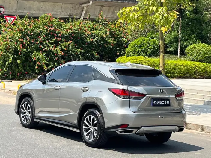 Lexus RX 2020 Model 300 2WD Elite Edition China VI – фото 5