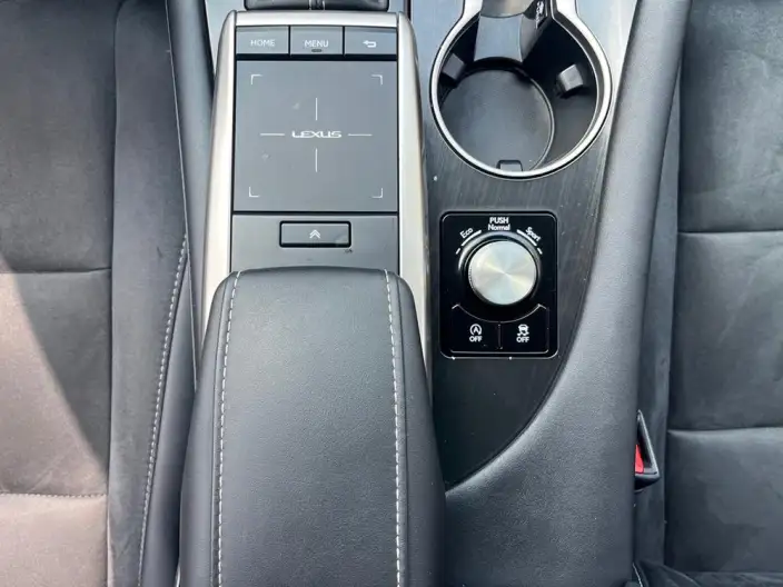 Lexus RX 2020 Model 300 2WD Elite Edition China VI – фото 16