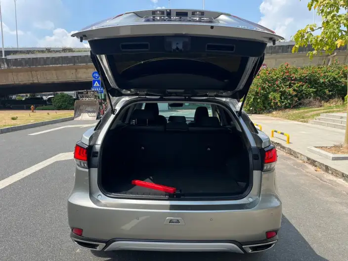 Lexus RX 2020 Model 300 2WD Elite Edition China VI – фото 39
