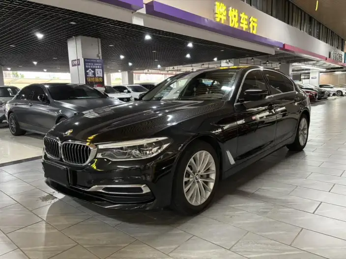 BMW 5 Series 2020 Model 530Li Exclusive Model Luxury Set – фото 1