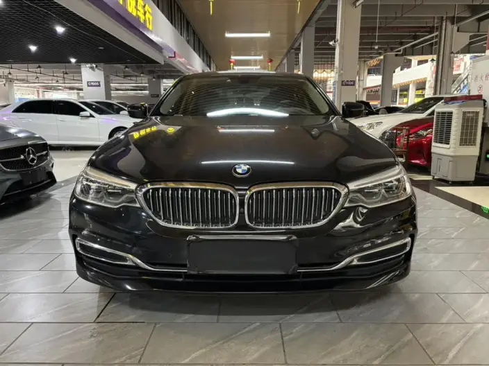 BMW 5 Series 2020 Model 530Li Exclusive Model Luxury Set – фото 2