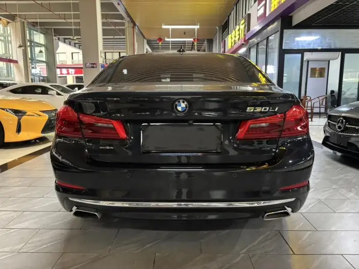 BMW 5 Series 2020 Model 530Li Exclusive Model Luxury Set – фото 3