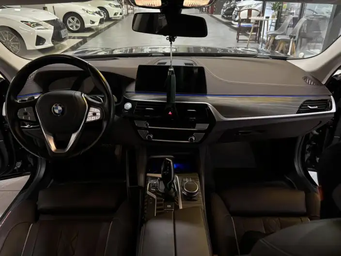 BMW 5 Series 2020 Model 530Li Exclusive Model Luxury Set – фото 5