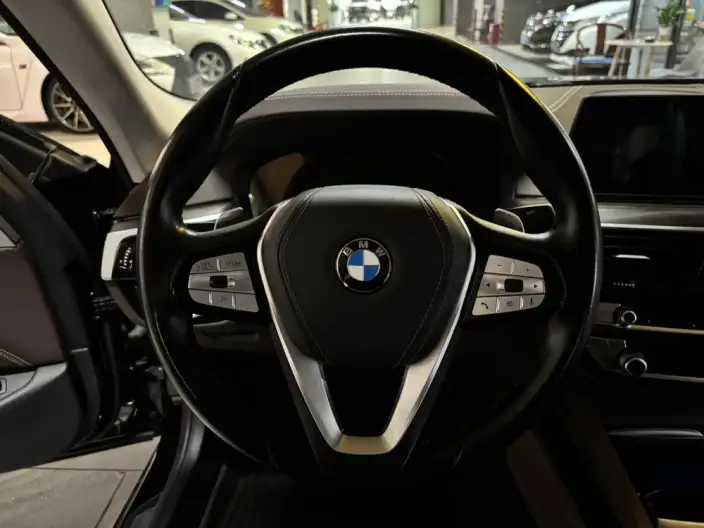 BMW 5 Series 2020 Model 530Li Exclusive Model Luxury Set – фото 7