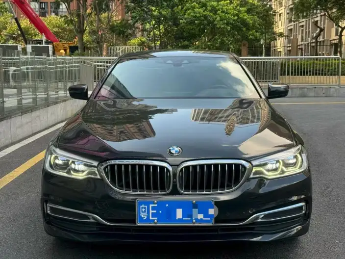 BMW 5 Series 2020 Model 530Li Exclusive Model Luxury Set – фото 2