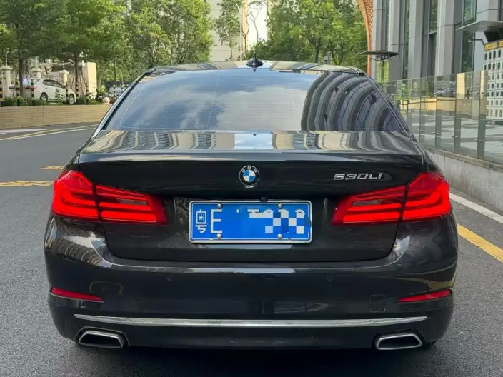 BMW 5 Series 2020 Model 530Li Exclusive Model Luxury Set – фото 4