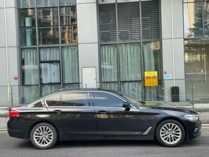 BMW 5 Series 2020 Model 530Li Exclusive Model Luxury Set – фото 5