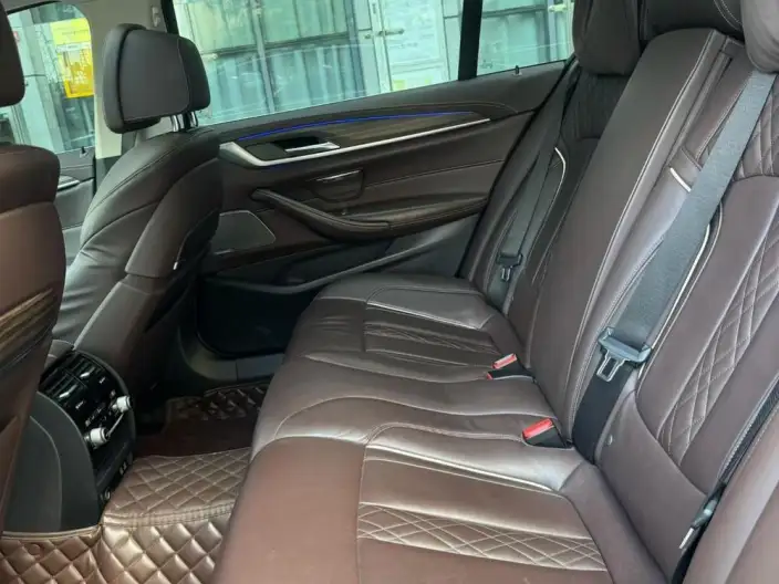 BMW 5 Series 2020 Model 530Li Exclusive Model Luxury Set – фото 9