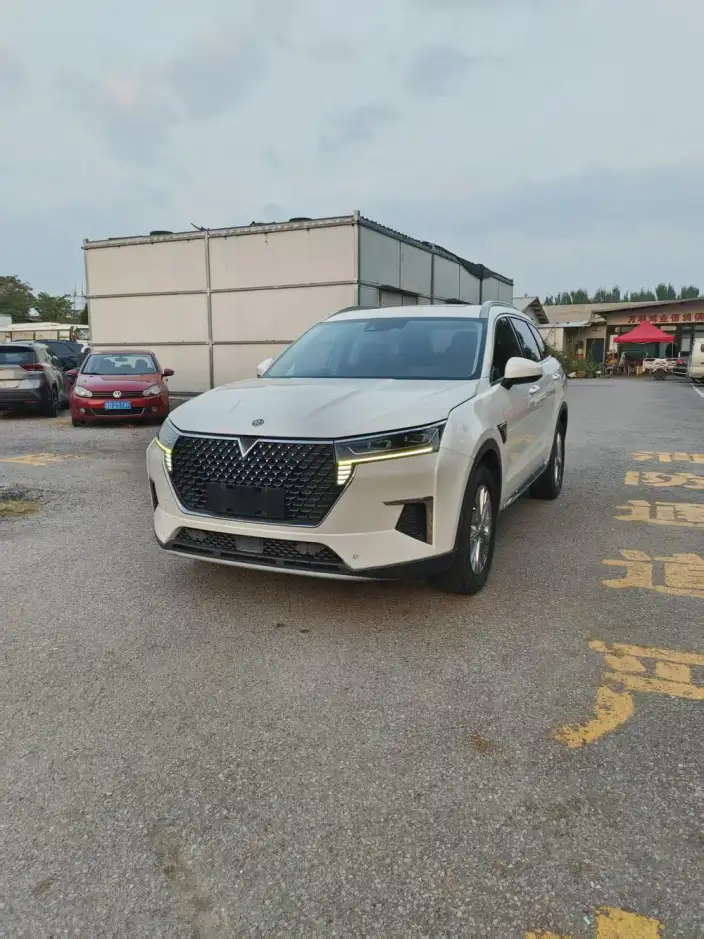 Qichen Star 2022 Model 260T 48V Mild Hybrid Boost Starlight Celebration Edition