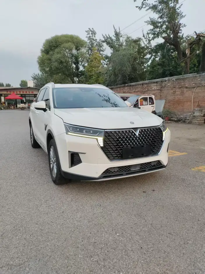 Qichen Star 2022 Model 260T 48V Mild Hybrid Boost Starlight Celebration Edition