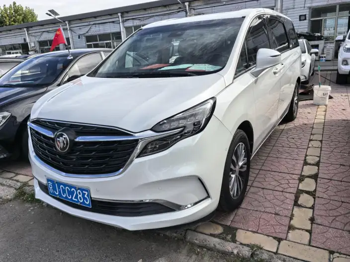 Buick GL8 2021 Model ES Luzun 653T Smart Flagship Model – фото 7