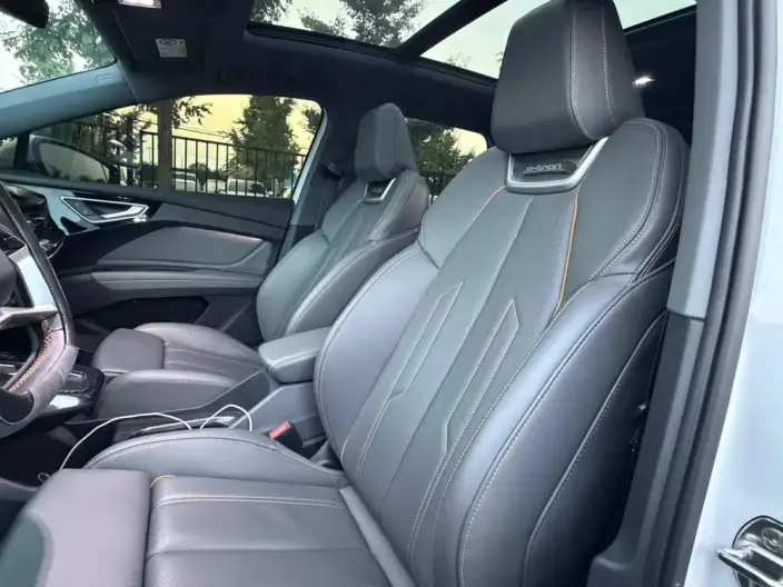 Audi Q4 e-tron 2024 Model 40 e-tron Genesis Edition – фото 11